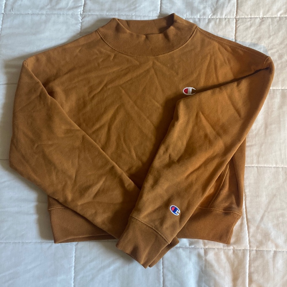 Brown Champion Cropped Sweater